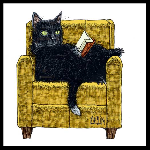 Black Cat Books