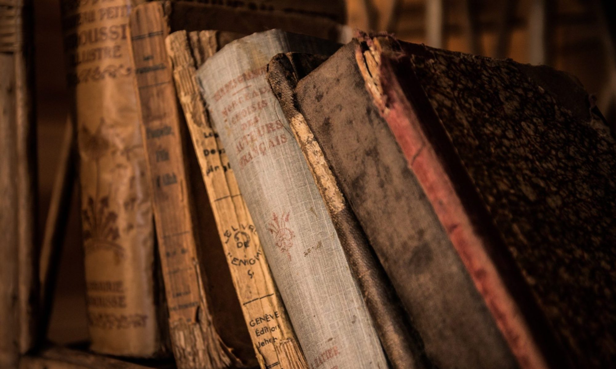 About a shelf of books in an old bookstore